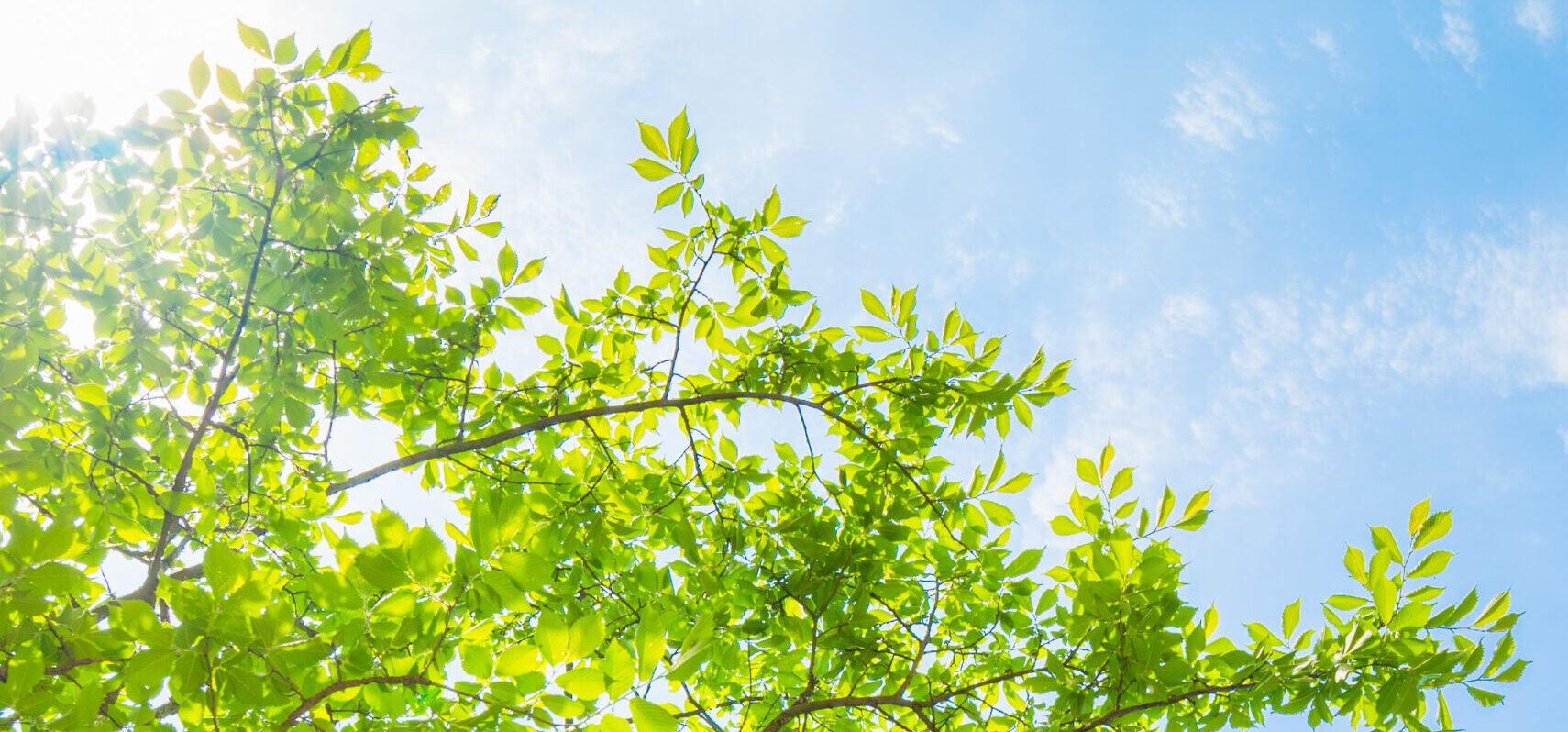 メインビジュアル1